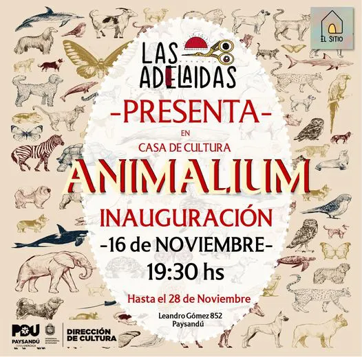 402598543_685582950378001_1341483225223341159_n