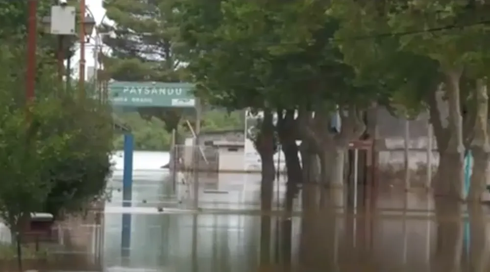 Screenshot 2023-11-30 at 22.49.44