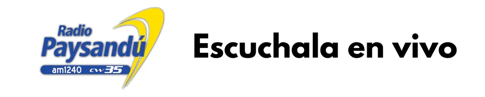 Untitled (1500 × 300 mm)