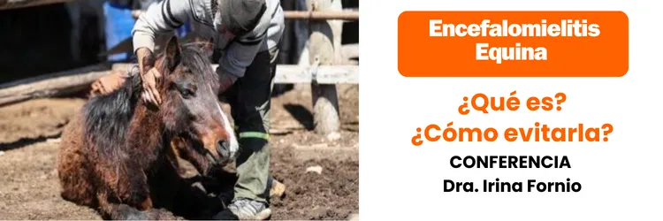 SDAC Banner  temáticos (750 x 250 px) (2)