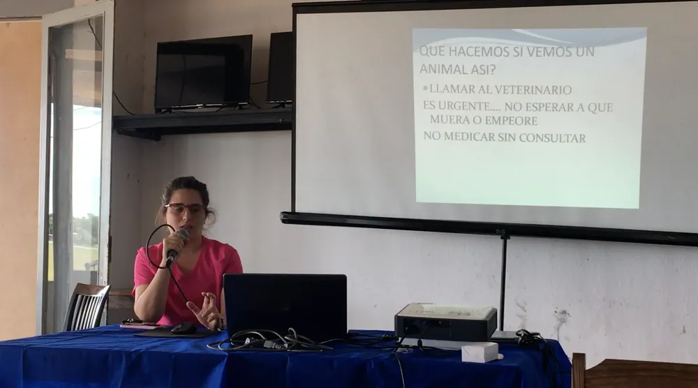 Screenshot 2023-12-03 at 01.00.33