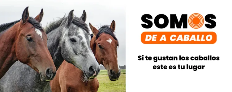 SDAC Banner  presentación de página