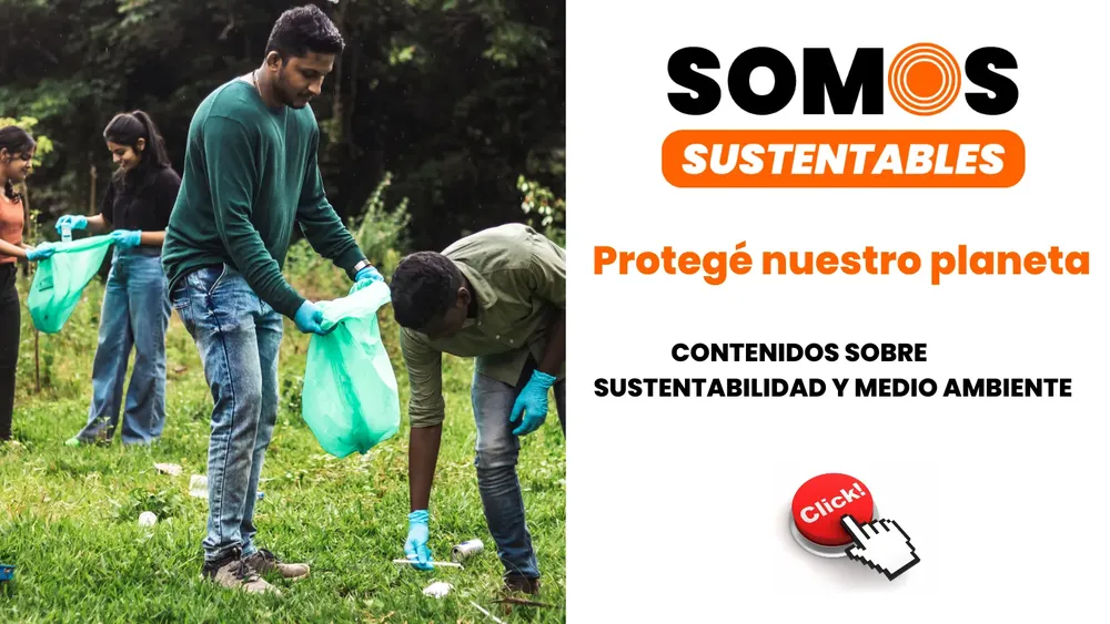 SDA Bloques HTML PROGRAMAS POSTA  (3)