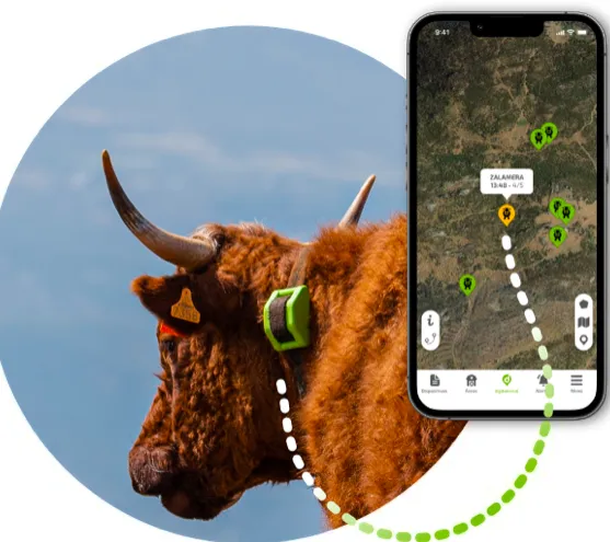Screen Shot 2025-07-08 at 10.37.02
