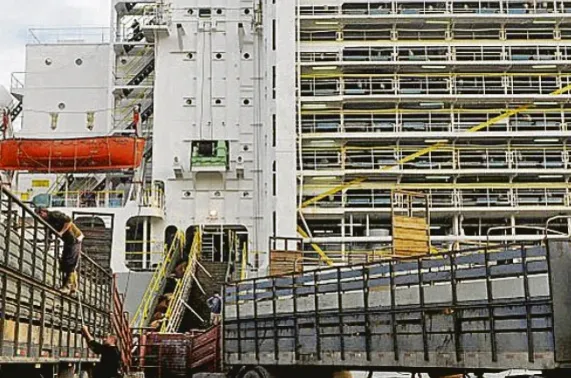 Screen Shot 2025-11-13 at 09.50.39