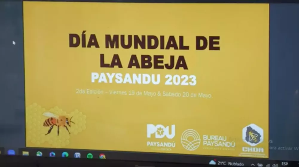 Screenshot 2023-04-27 at 07.27.50