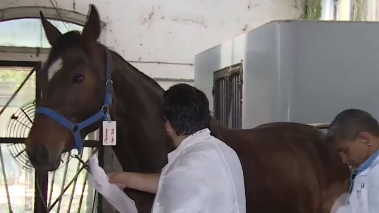 SDA CAPAS Y FOTOS CONTENIDOS TEMÁTICOS(5)