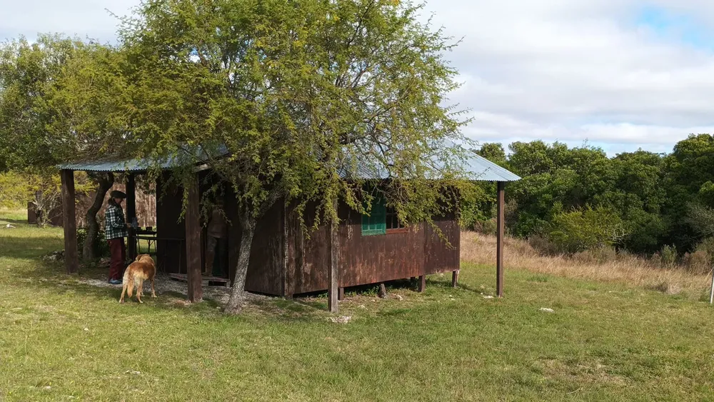 WhatsApp Image 2025-06-09 at 22.58.54