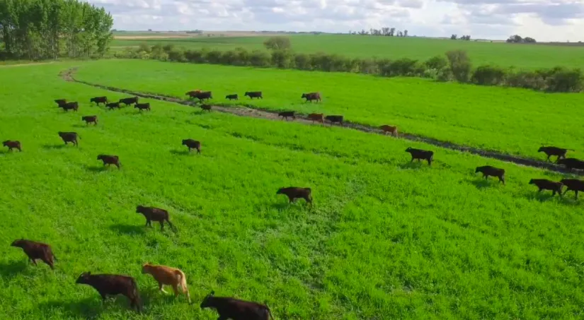 Screen Shot 2025-05-26 at 08.36.34