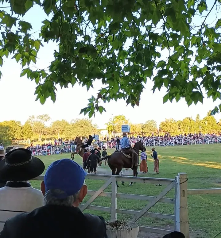 WhatsApp Image 2025-04-21 at 09.22.22