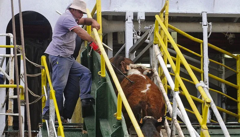 Screen Shot 2025-08-15 at 10.58.49