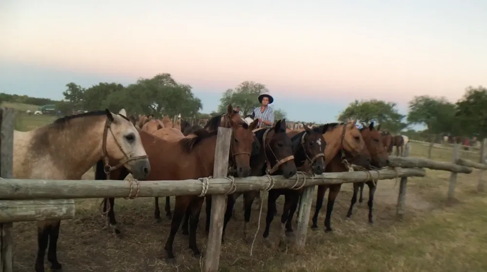 Screenshot 2024-01-15 at 22.33.55