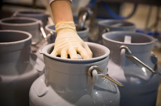 Screen Shot 2025-10-01 at 09.32.28