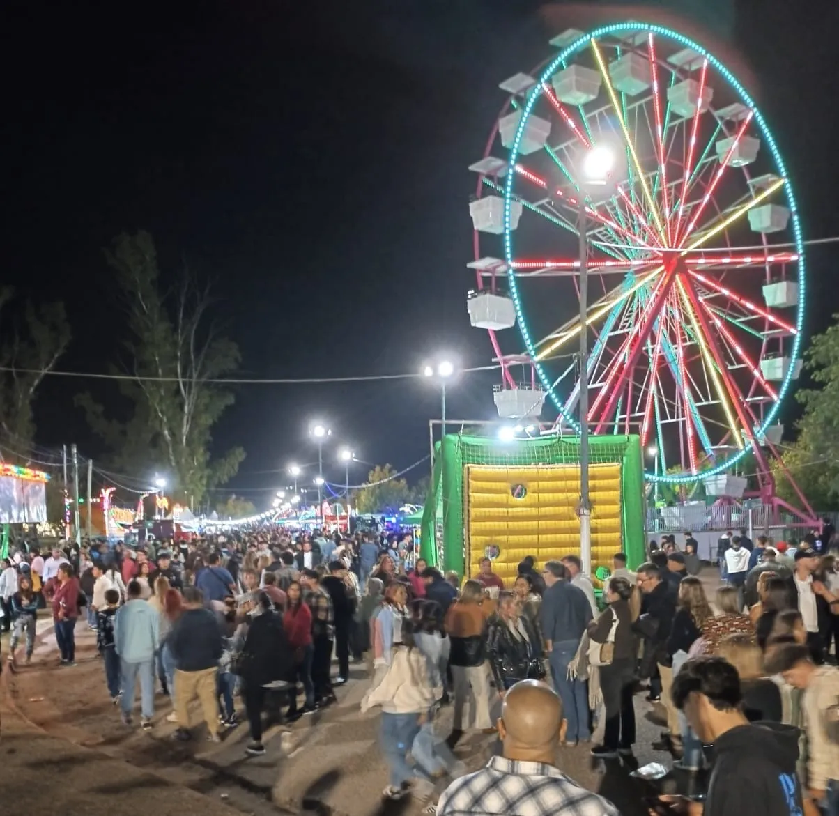 WhatsApp Image 2025-04-19 at 15.23.58