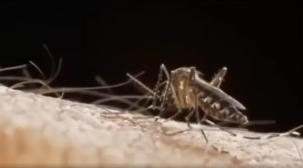 Screenshot 2023-04-27 at 23.38.04