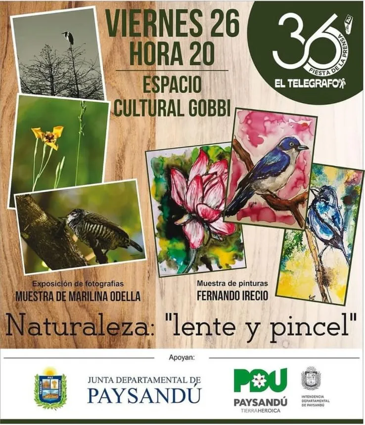 Imagen de WhatsApp 2024-01-25 a las 12.41.33_3cf3512d