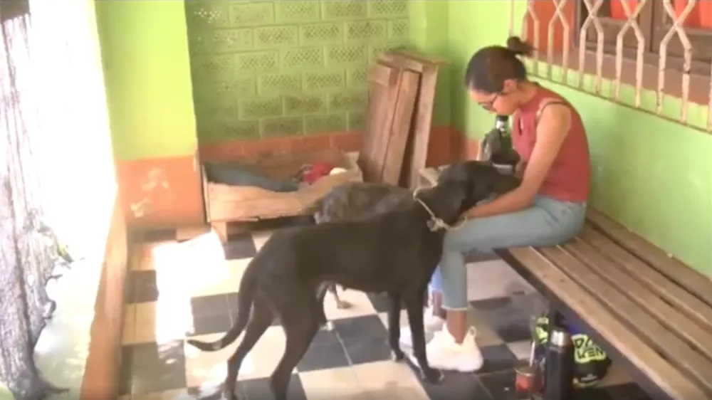 Screenshot 2023-03-01 at 21.13.34