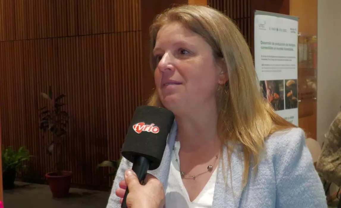 Screen Shot 2025-05-27 at 13.29.10