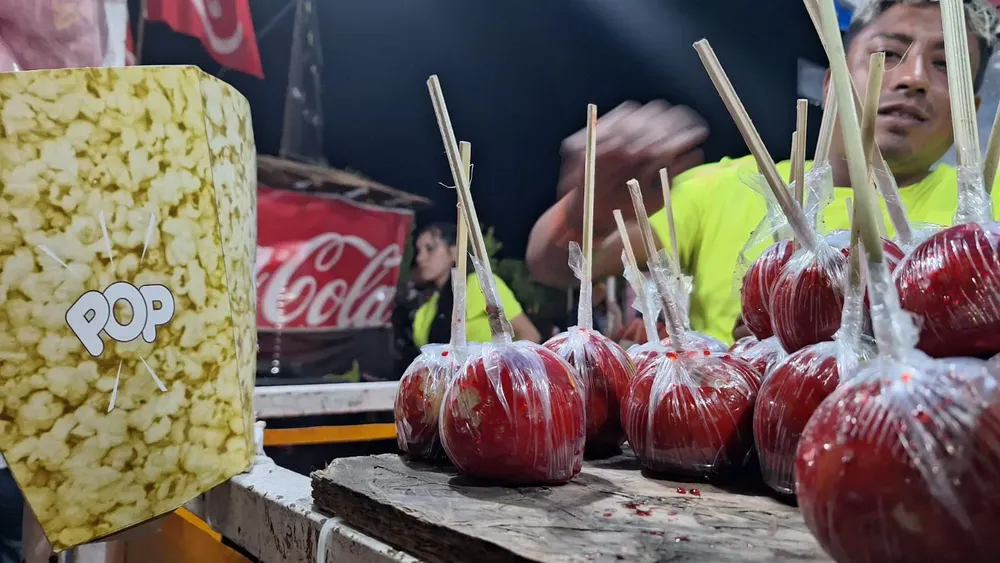 WhatsApp Image 2024-03-26 at 02.16.19 (1)