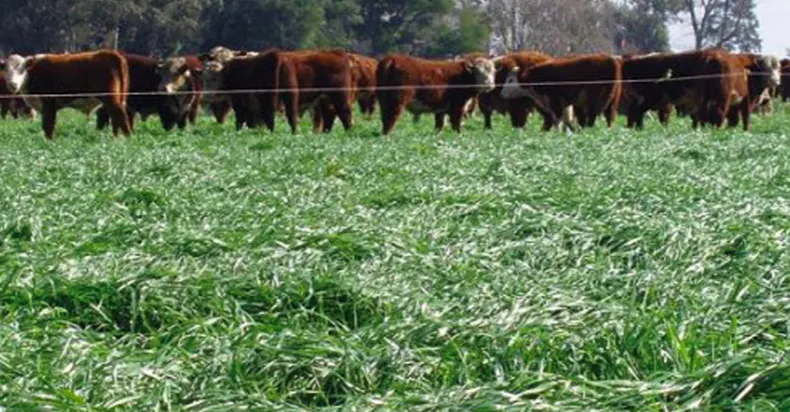 Screen Shot 2025-08-22 at 13.53.39