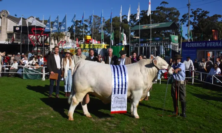 Screen Shot 2025-09-10 at 10.43.31