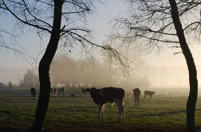 Screen Shot 2025-06-25 at 09.56.42