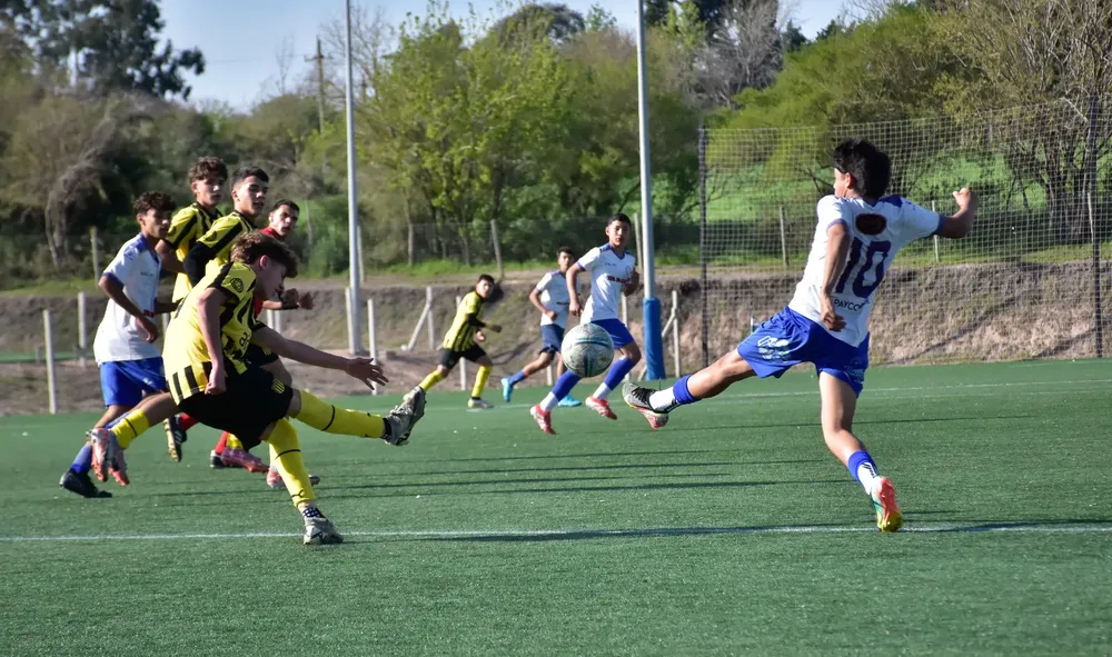 WhatsApp Image 2025-09-14 at 21.37.30