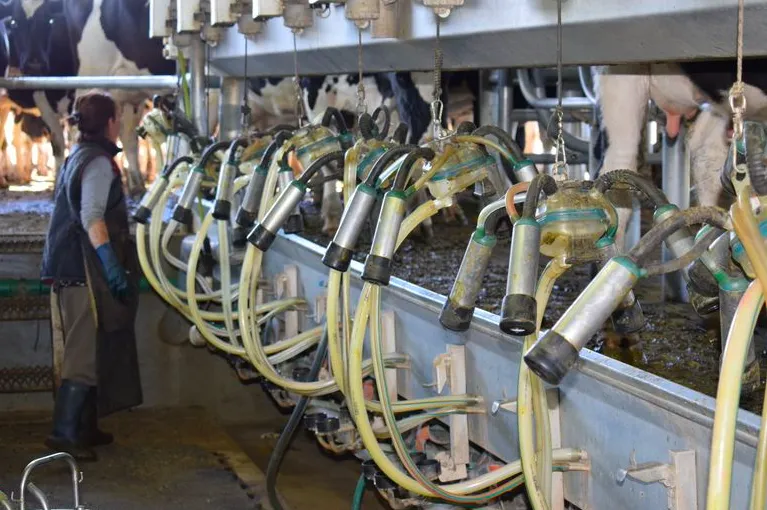 Screen Shot 2025-08-07 at 09.52.59