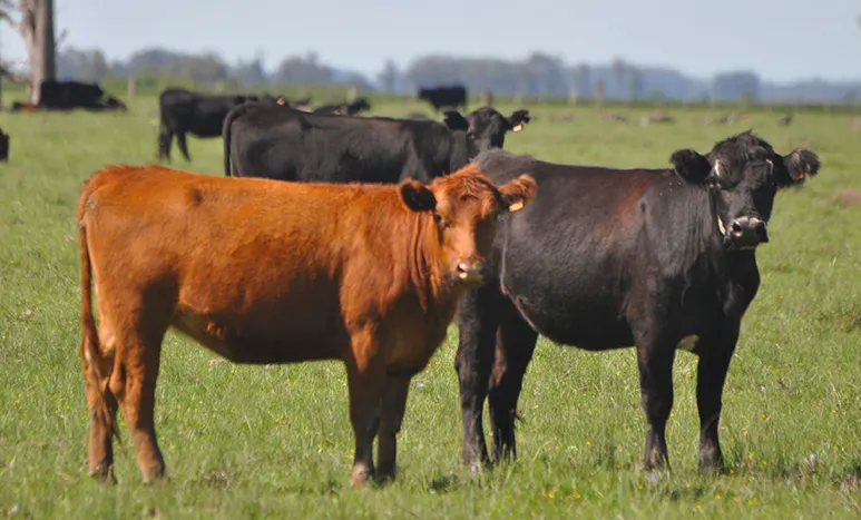 Screen Shot 2025-11-24 at 09.06.58