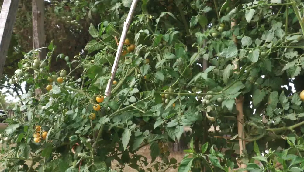 Captura de pantalla 2026-02-07 a la(s) 13.48.57