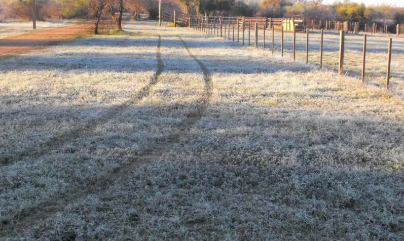 Screen Shot 2025-06-27 at 09.08.15