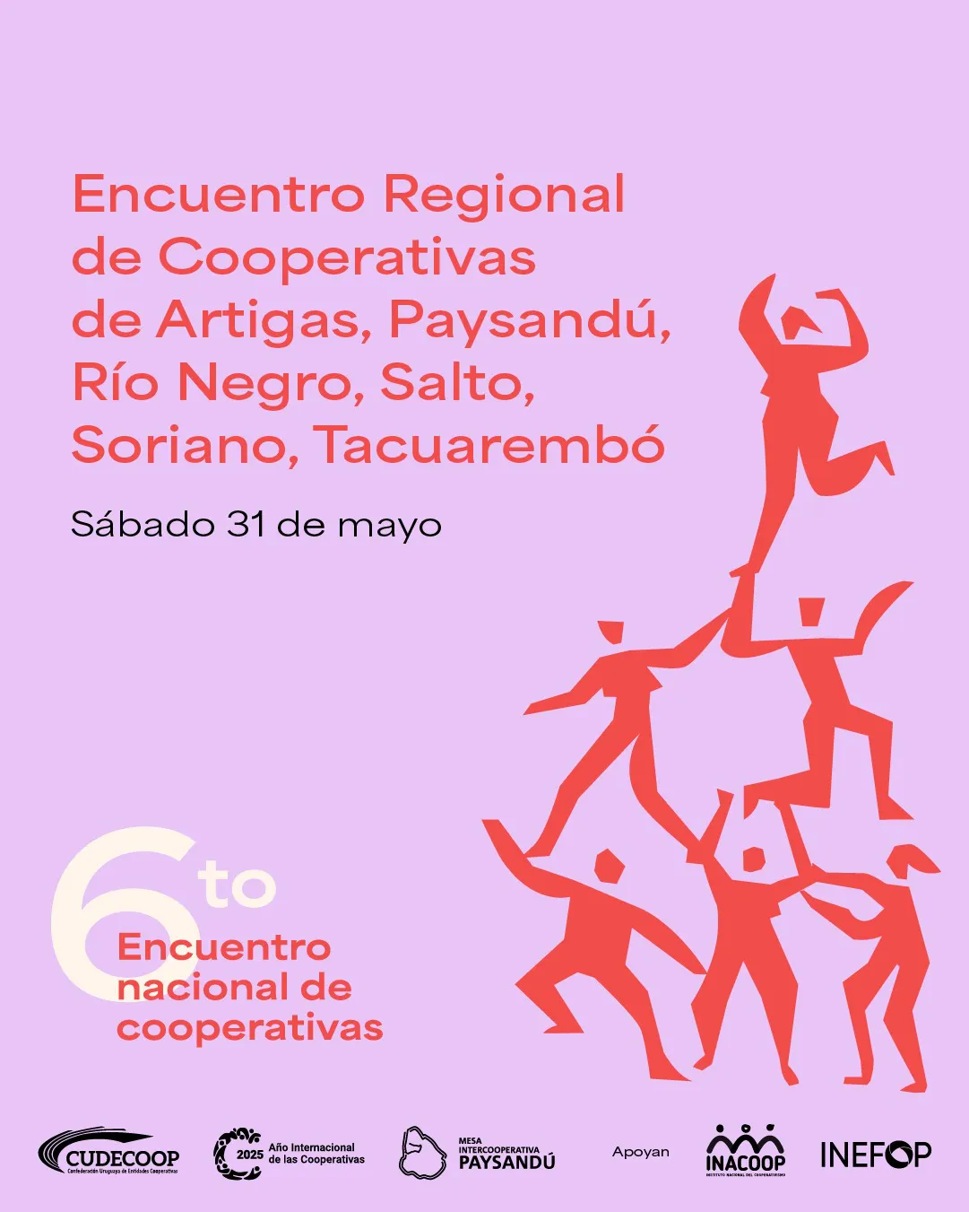 WhatsApp Image 2025-05-29 at 16.19.48