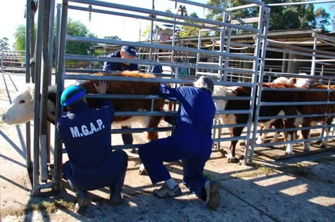 Screen Shot 2025-12-03 at 10.03.18