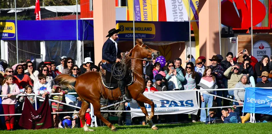 Screen Shot 2025-08-19 at 09.56.39