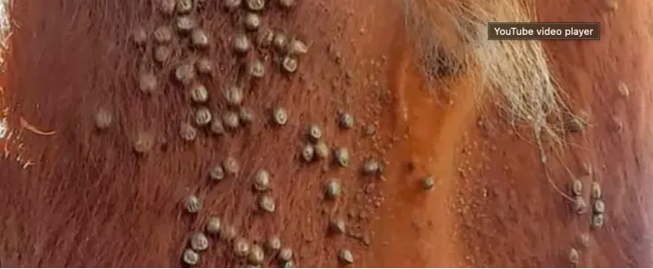 Screen Shot 2025-08-28 at 10.32.20