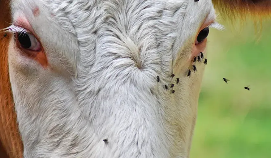 Screen Shot 2025-11-21 at 09.30.53