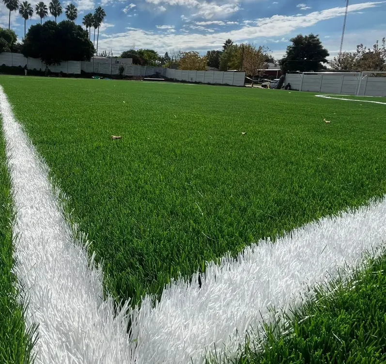 WhatsApp Image 2025-05-10 at 00.22.59