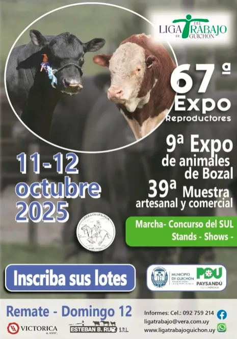 Screen Shot 2025-10-09 at 15.11.38