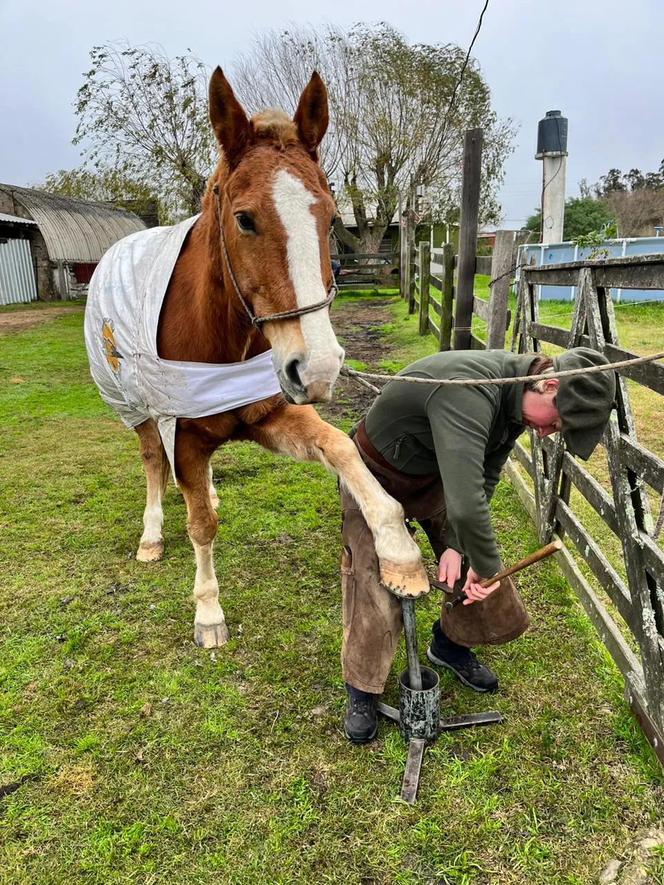 db502444-d5e6-40eb-8ed8-d69071eaac78