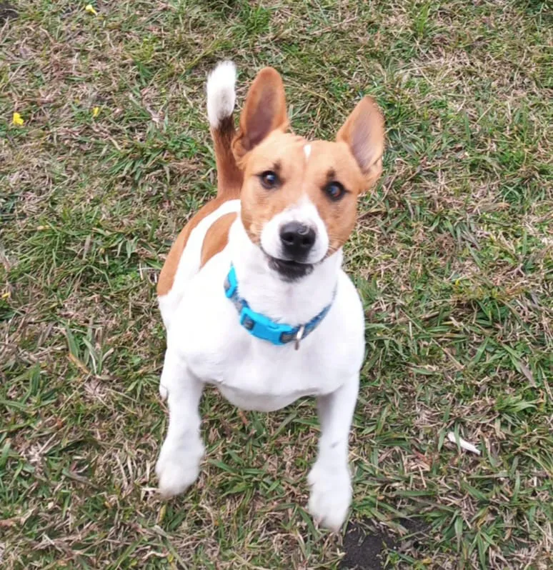 WhatsApp Image 2025-06-09 at 23.12.04