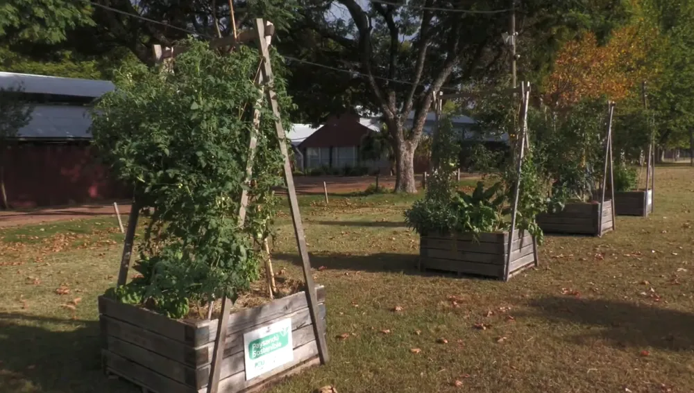 Captura de pantalla 2026-02-07 a la(s) 13.47.51