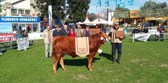 Screen Shot 2025-09-15 at 13.18.13