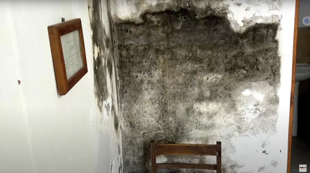 Screenshot 2024-06-04 at 10.35.09