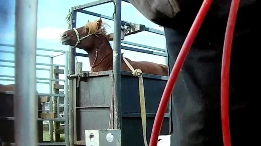 d5f07e9b-d810-42a4-b08f-6694c76044ec_16-9-aspect-ratio_default_0