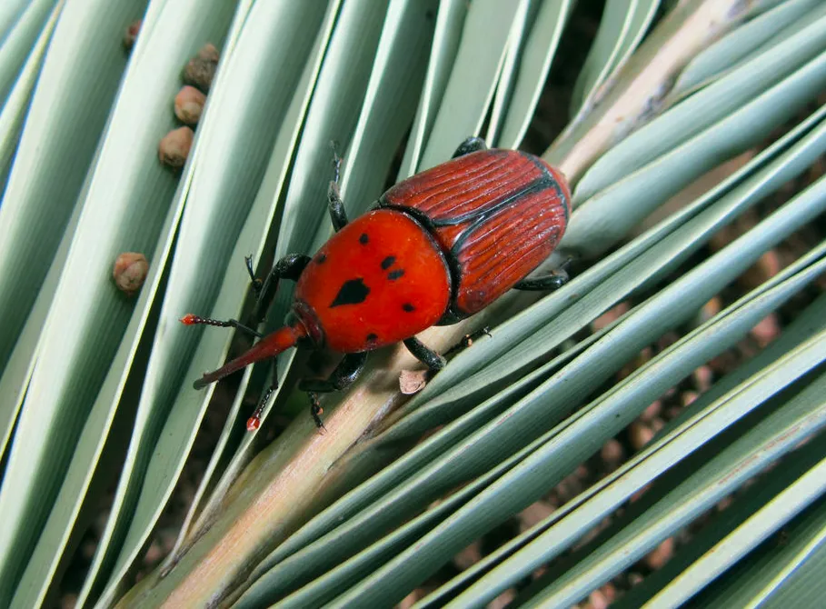 Screen Shot 2025-06-11 at 09.25.43