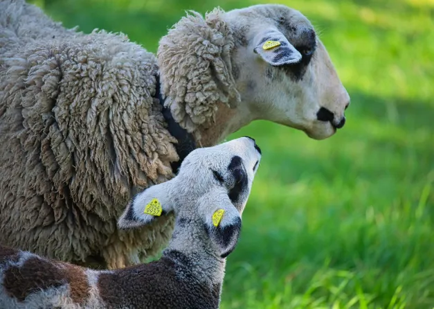 Screen Shot 2025-08-01 at 11.06.45