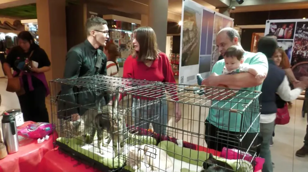 Screenshot 2024-04-08 at 23.56.20