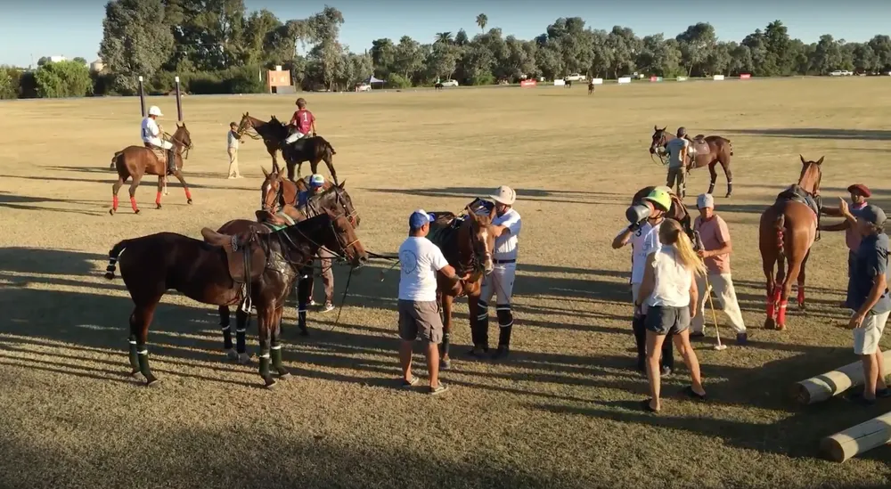 Screenshot 2024-05-02 at 12.07.32