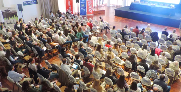 Screen Shot 2025-06-17 at 09.37.22