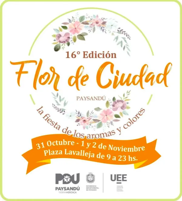 Screen Shot 2025-10-30 at 14.37.35